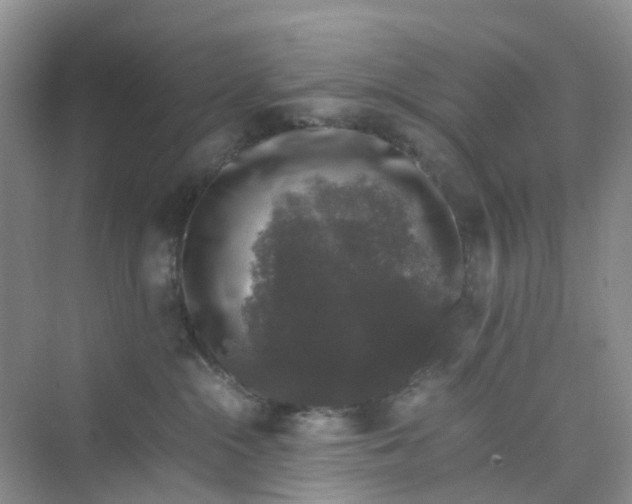 X0000075920284200609291832