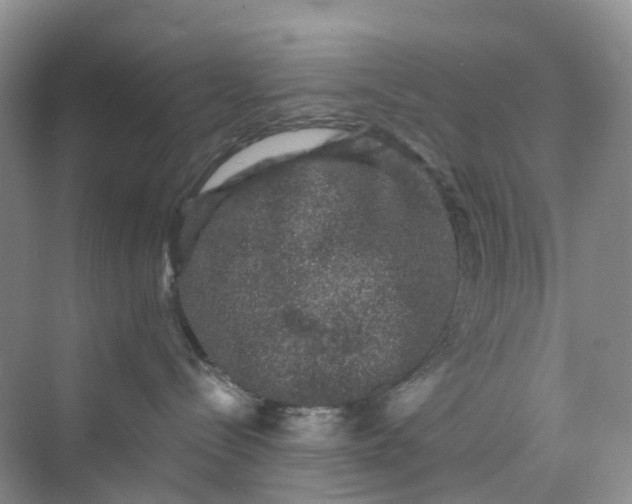 X0000075920288200609291832