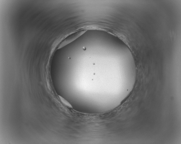 X0000075920289200609291832