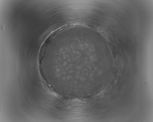 X0000075920290200609291832