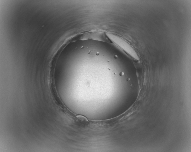 X0000075920291200609291832