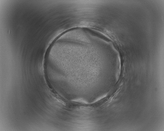 X0000075920292200609291831