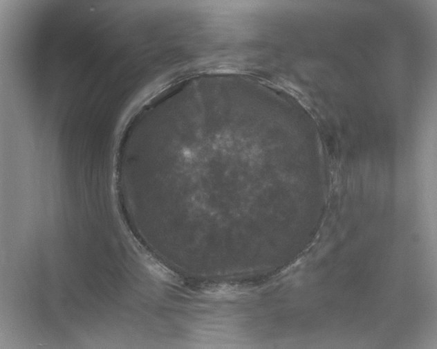 X0000075920293200609291831