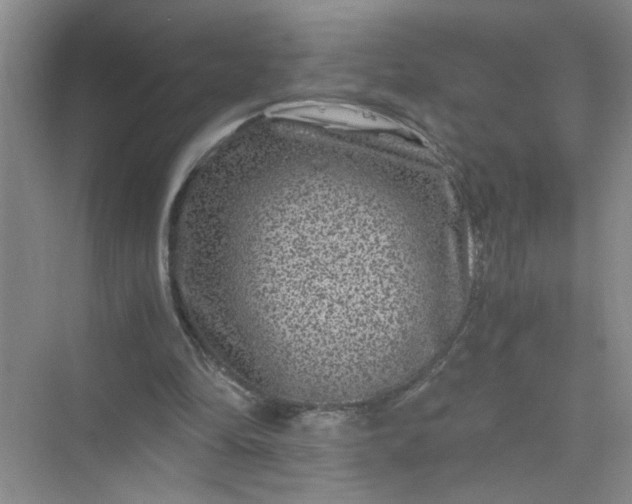 X0000075920294200609291831