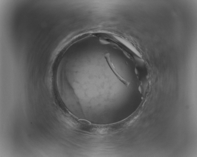 X0000075920295200609291831