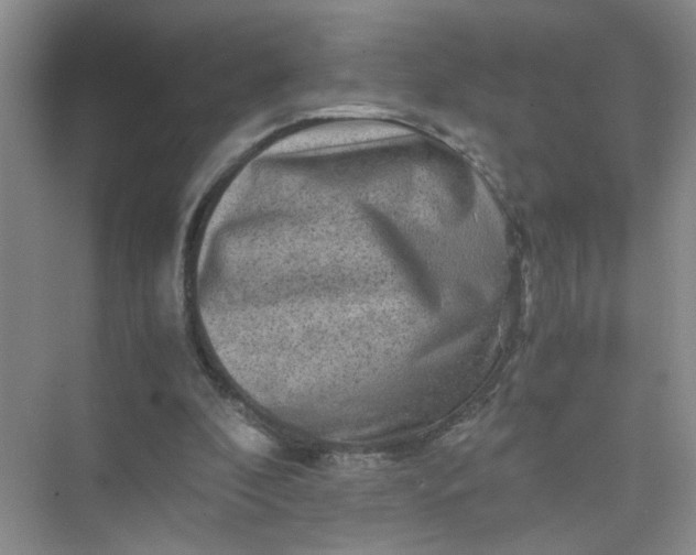 X0000075920296200609291831