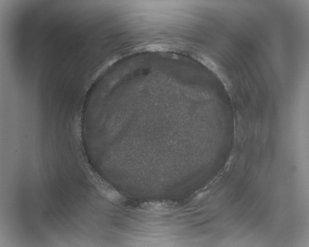 X0000075920297200609291831