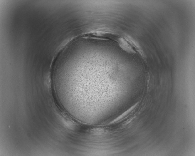 X0000075920298200609291831