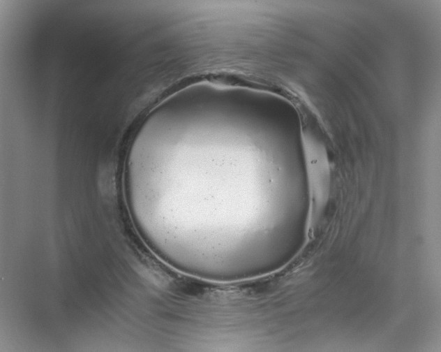 X0000075920299200609291831