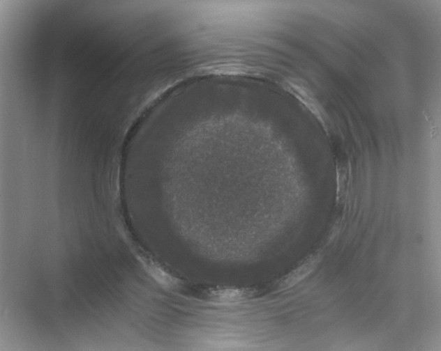 X0000075920301200609291831