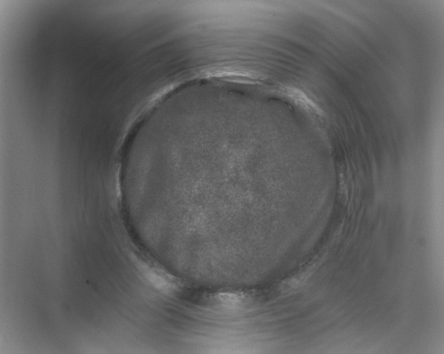 X0000075920302200609291831