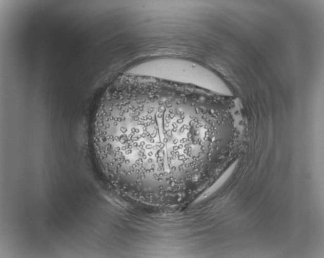 X0000075920303200609291831