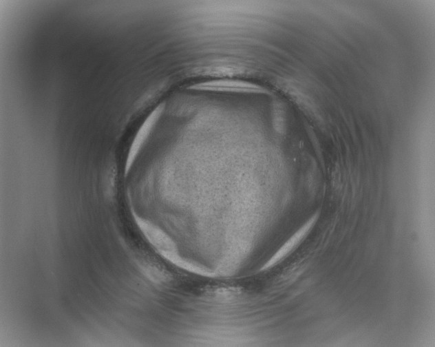 X0000075920304200609291831