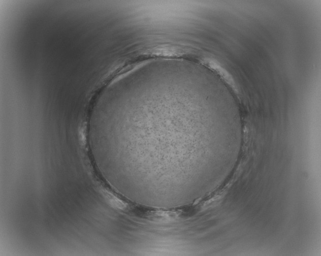 X0000075920305200609291831