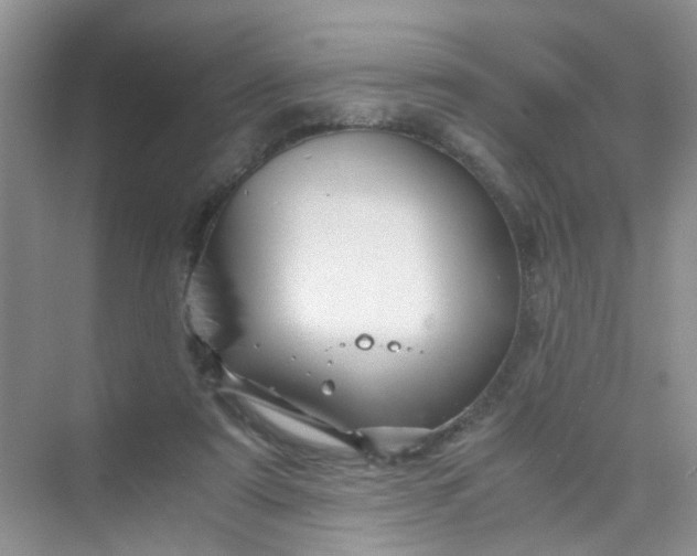 X0000075920307200609291831