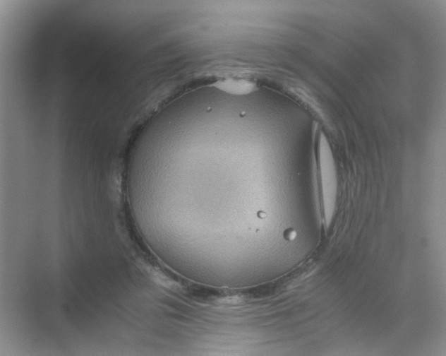 X0000075920309200609291831