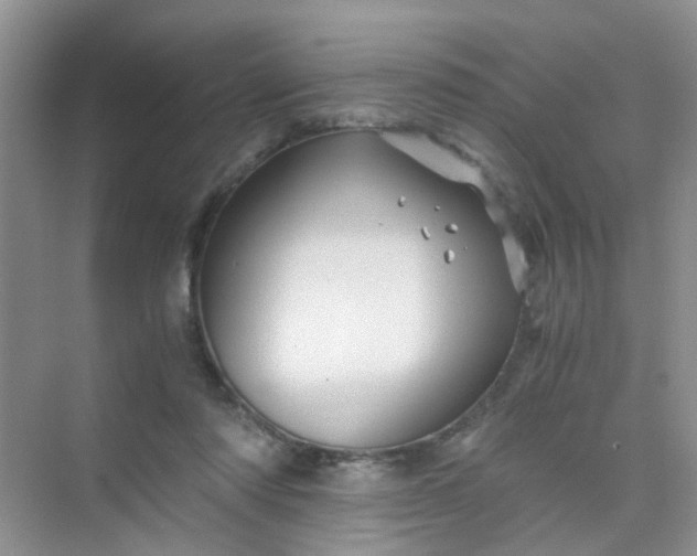 X0000075920310200609291831