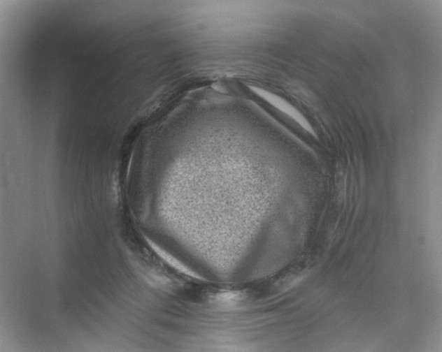 X0000075920312200609291831