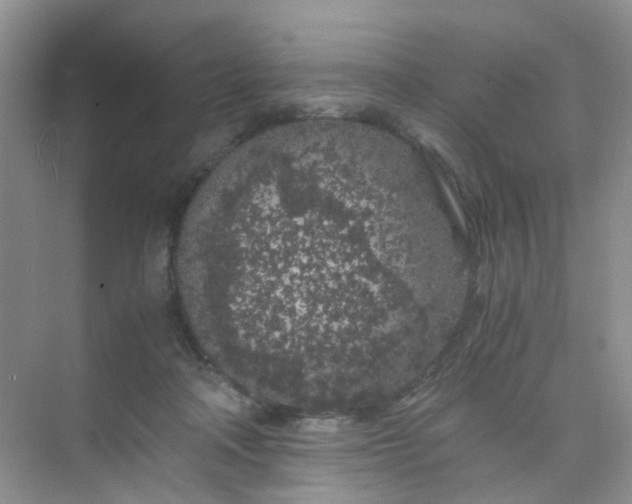 X0000075920314200609291831