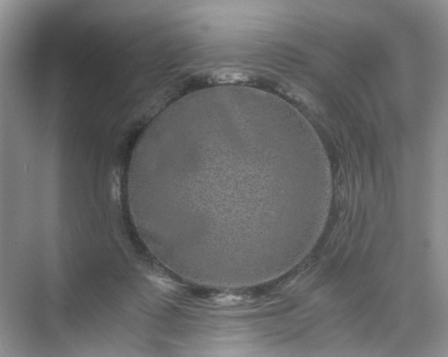 X0000075920315200609291831