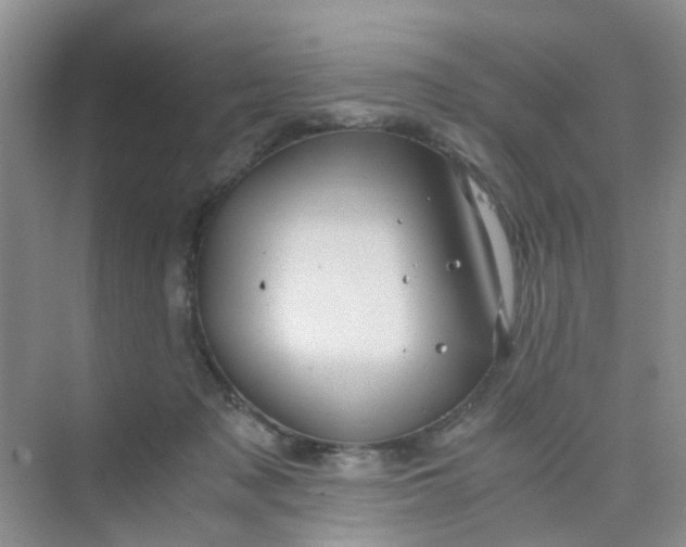 X0000075920317200609291831