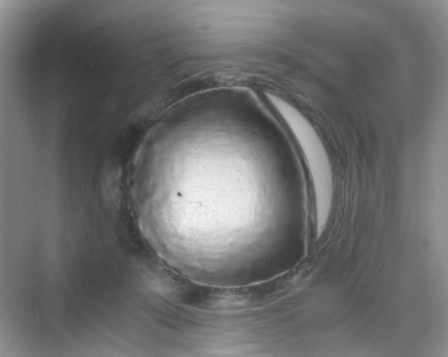 X0000075920319200609291831