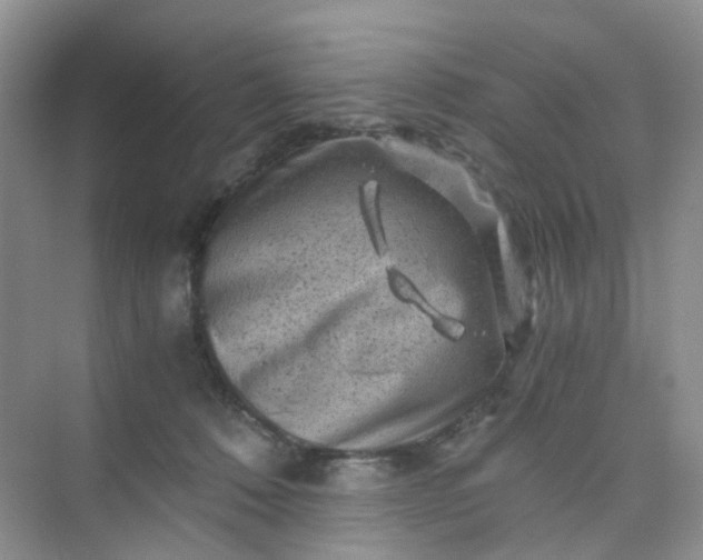 X0000075920320200609291831