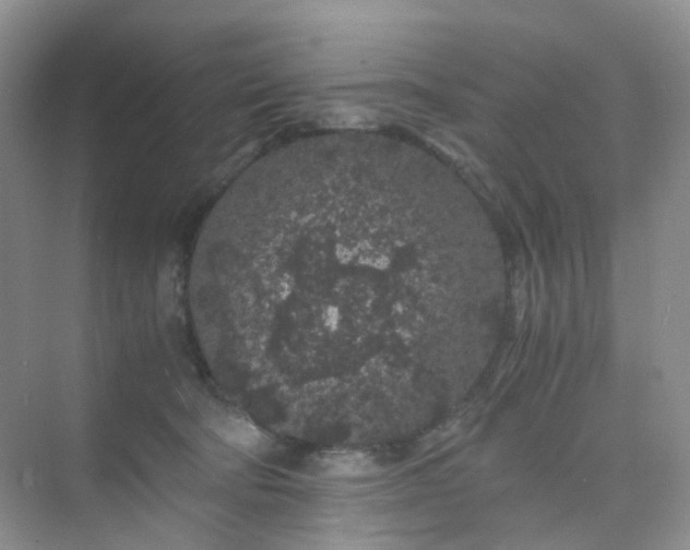 X0000075920322200609291831