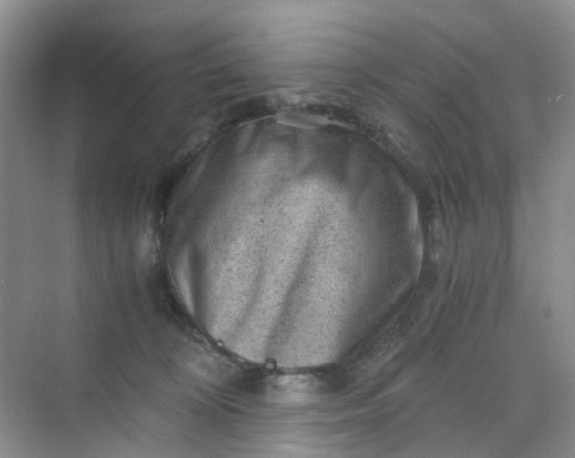 X0000075920324200609291831