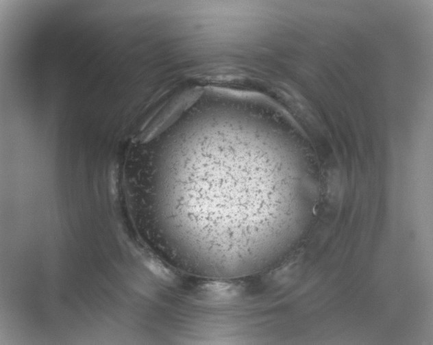 X0000075920326200609291831