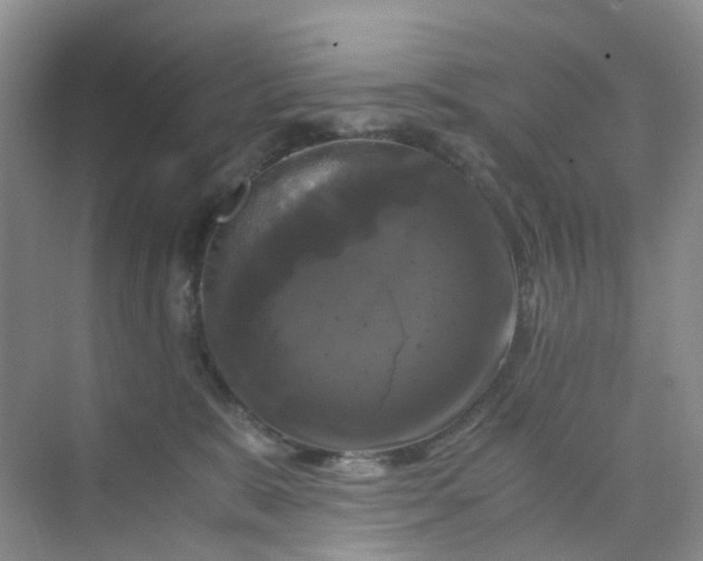 X0000075920327200609291831