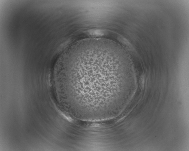 X0000075920330200609291831