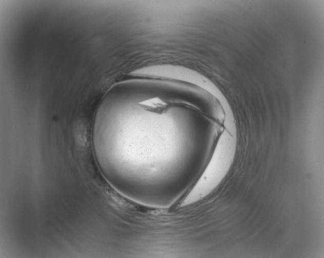 X0000075920331200609291831