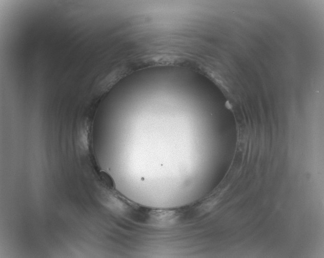 X0000075920334200609291831