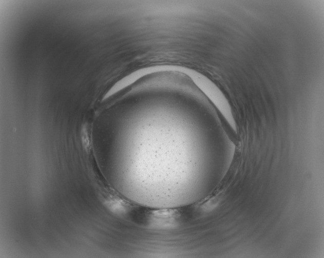 X0000075920335200609291831