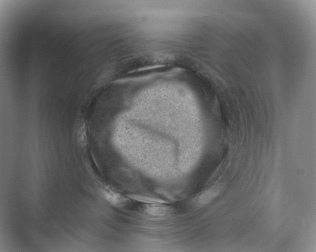 X0000075920336200609291831