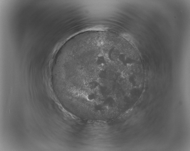 X0000075920337200609291830