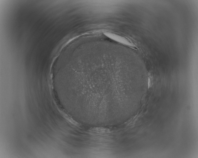 X0000075920339200609291830