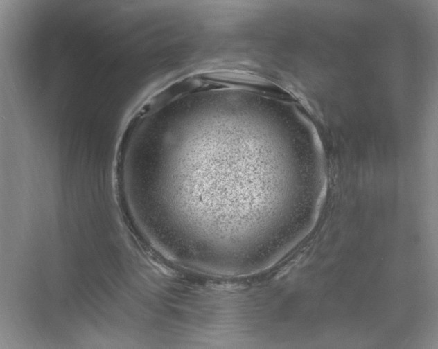 X0000075920340200609291830