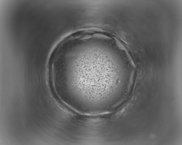 X0000075920342200609291830