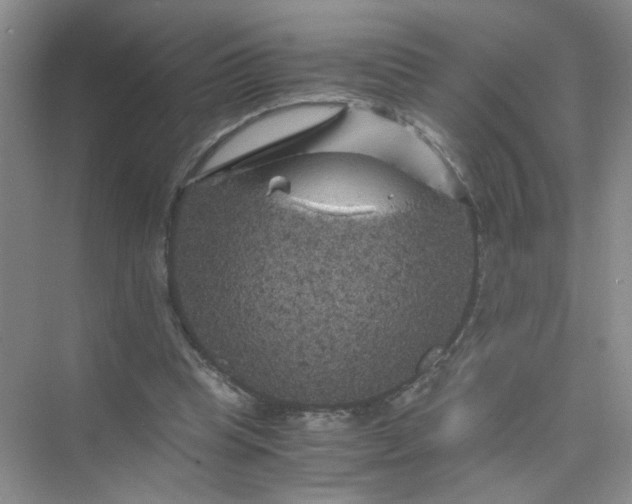 X0000075920345200609291830