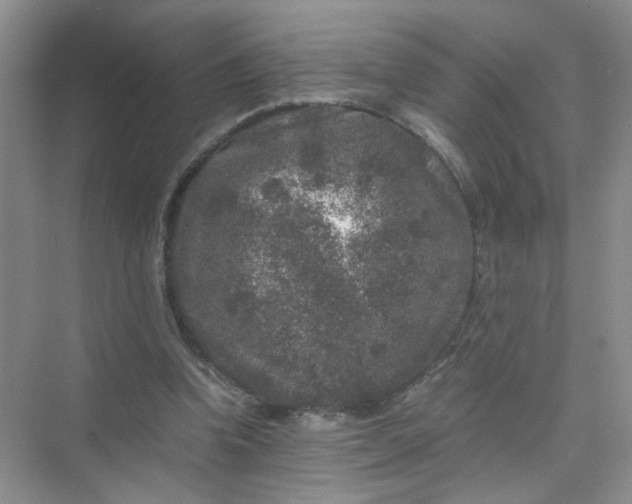 X0000075920346200609291830