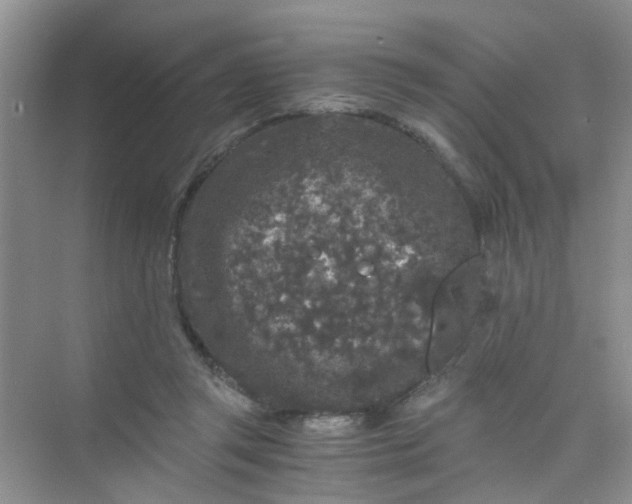 X0000075920357200609291830