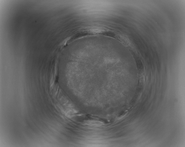 X0000075920360200609291830