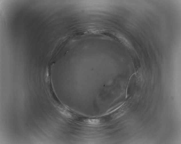 X0000075920361200609291830