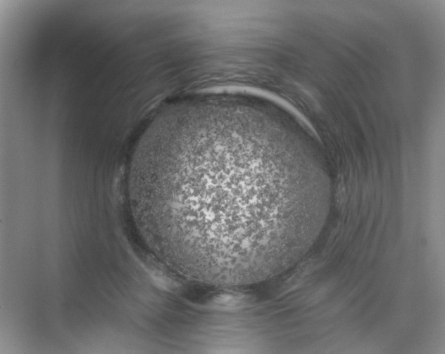 X0000075920364200609291830