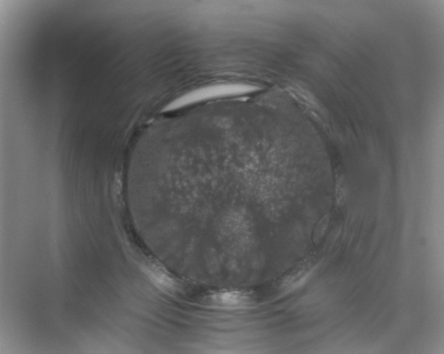 X0000075920365200609291830