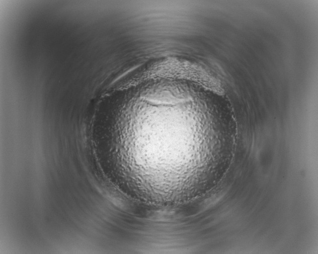 X0000075920366200609291830