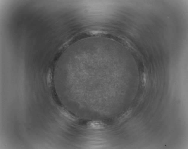 X0000075920372200609291831