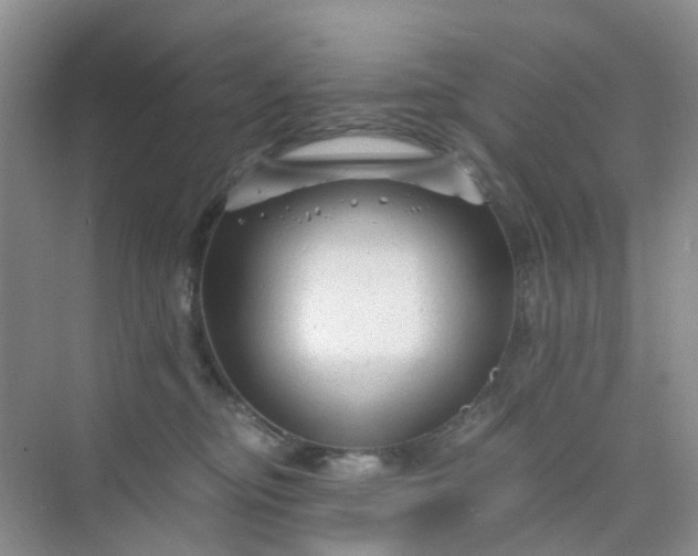 X0000075920374200609291831